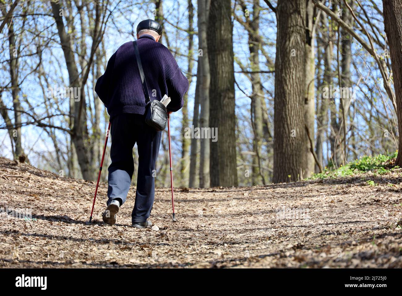 Nordic walking, elderly man walk with sticks in spring forest. Sports exercises for healthy spine and joints at spring, therapy for health Stock Photo