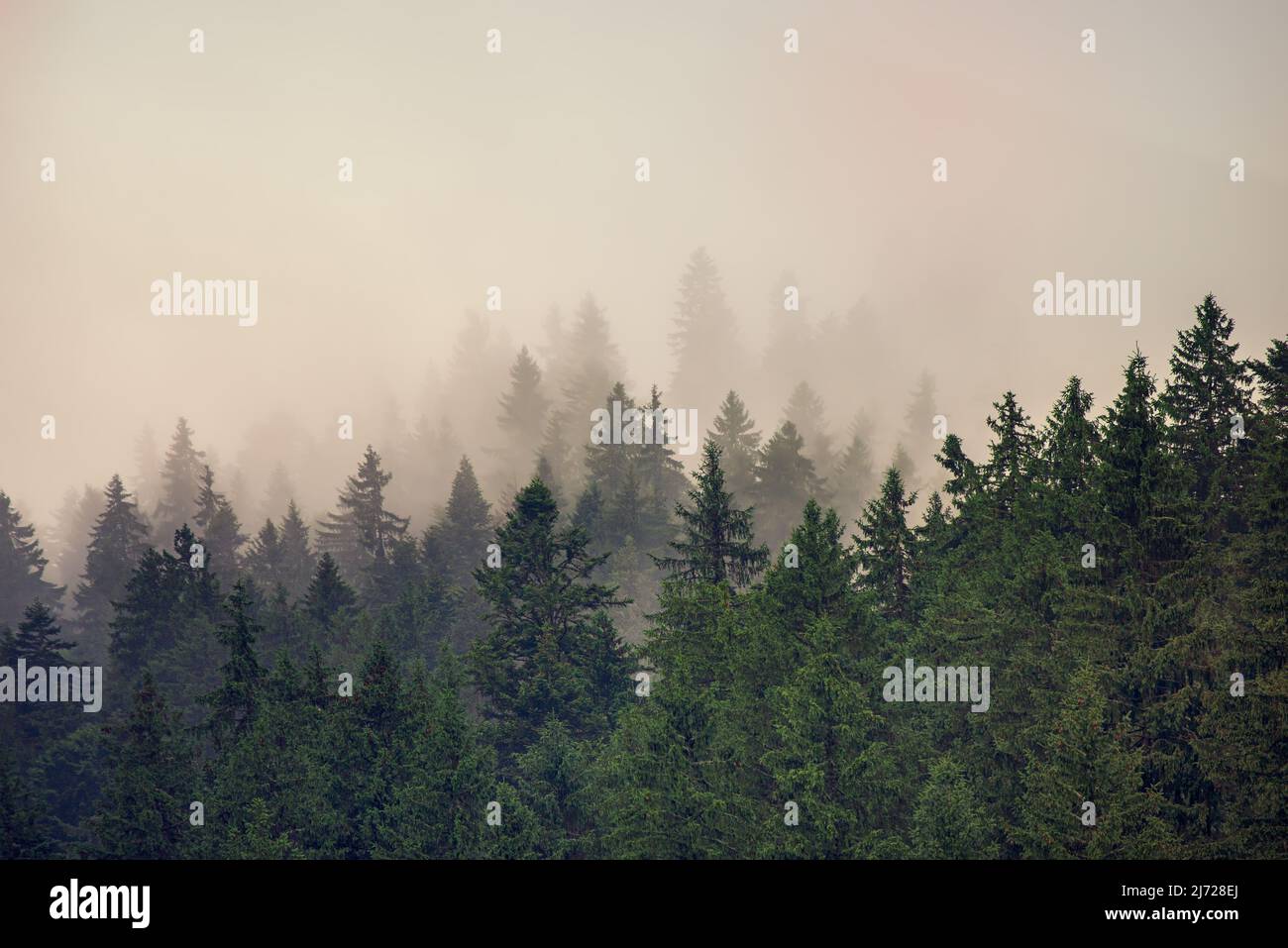Misty mountain landscape Stock Photo - Alamy