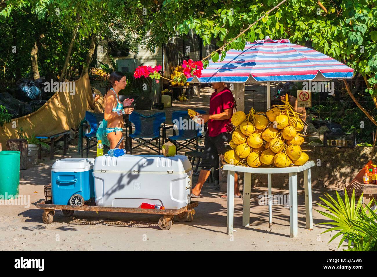 Tulum Mexico 02. February 2022 Street food fruits coconuts and drinks on typical street road and cityscape in Tulum in Mexico. Stock Photo
