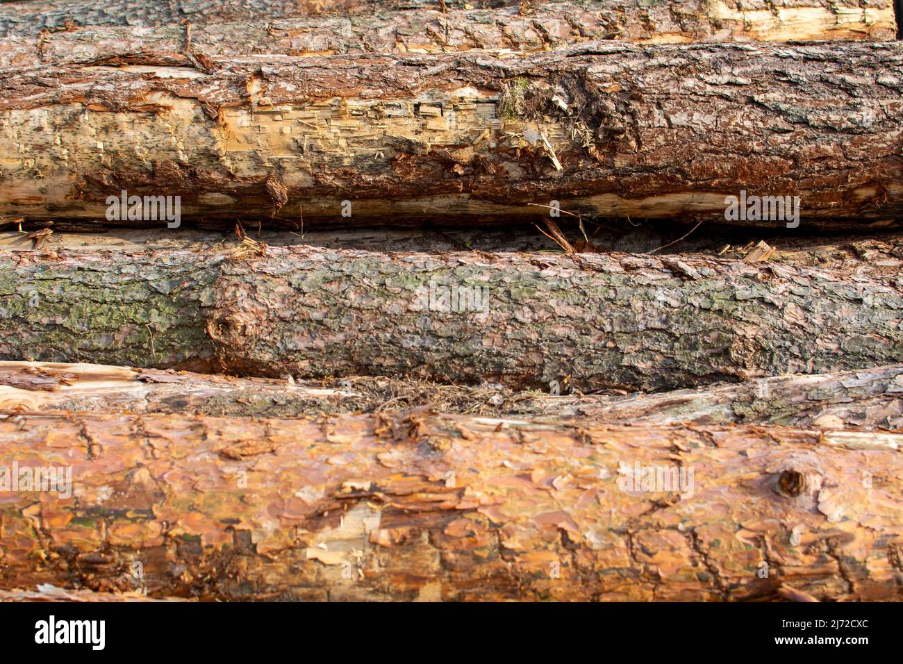 A pile of felled trees as a natural background Stock Photo - Alamy