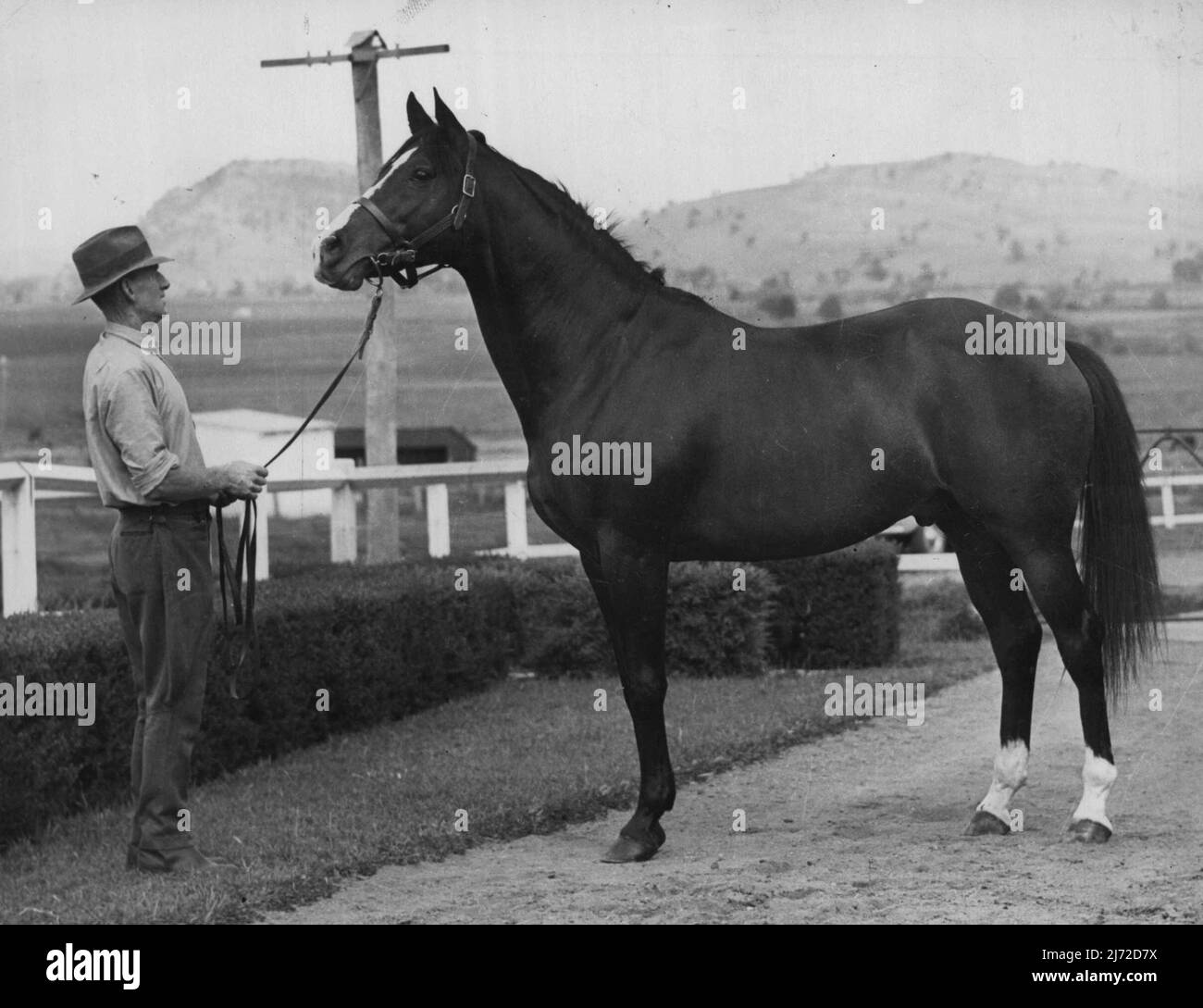 Imported Midstream who is the best known sire in Australia today