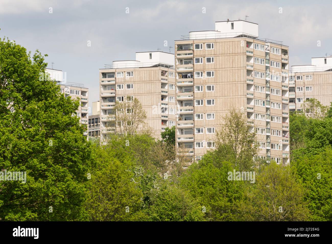 The Alton Estate in Roehampton as seen from Richmond Park, London