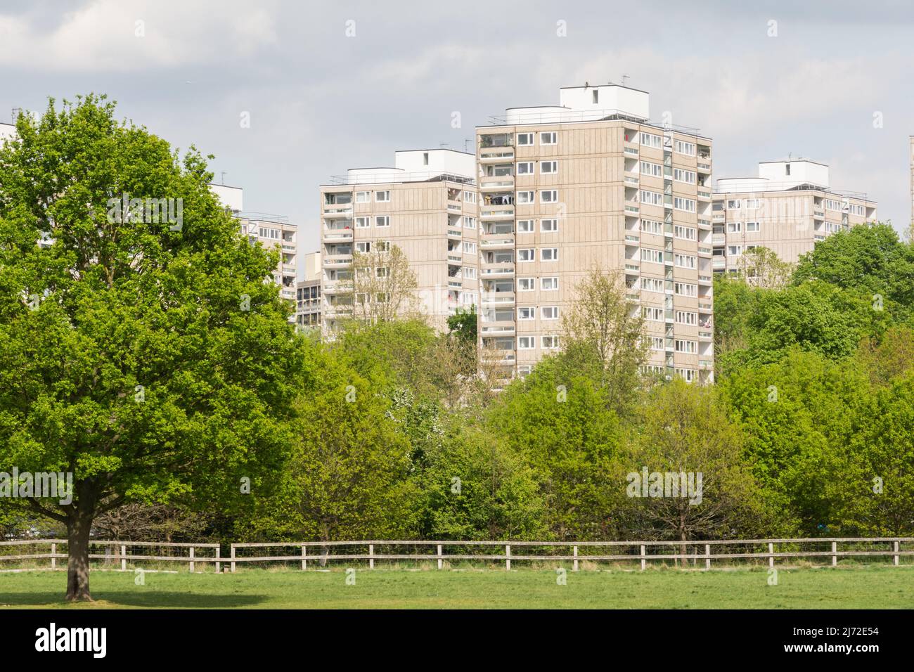 The Alton Estate in Roehampton as seen from Richmond Park, London