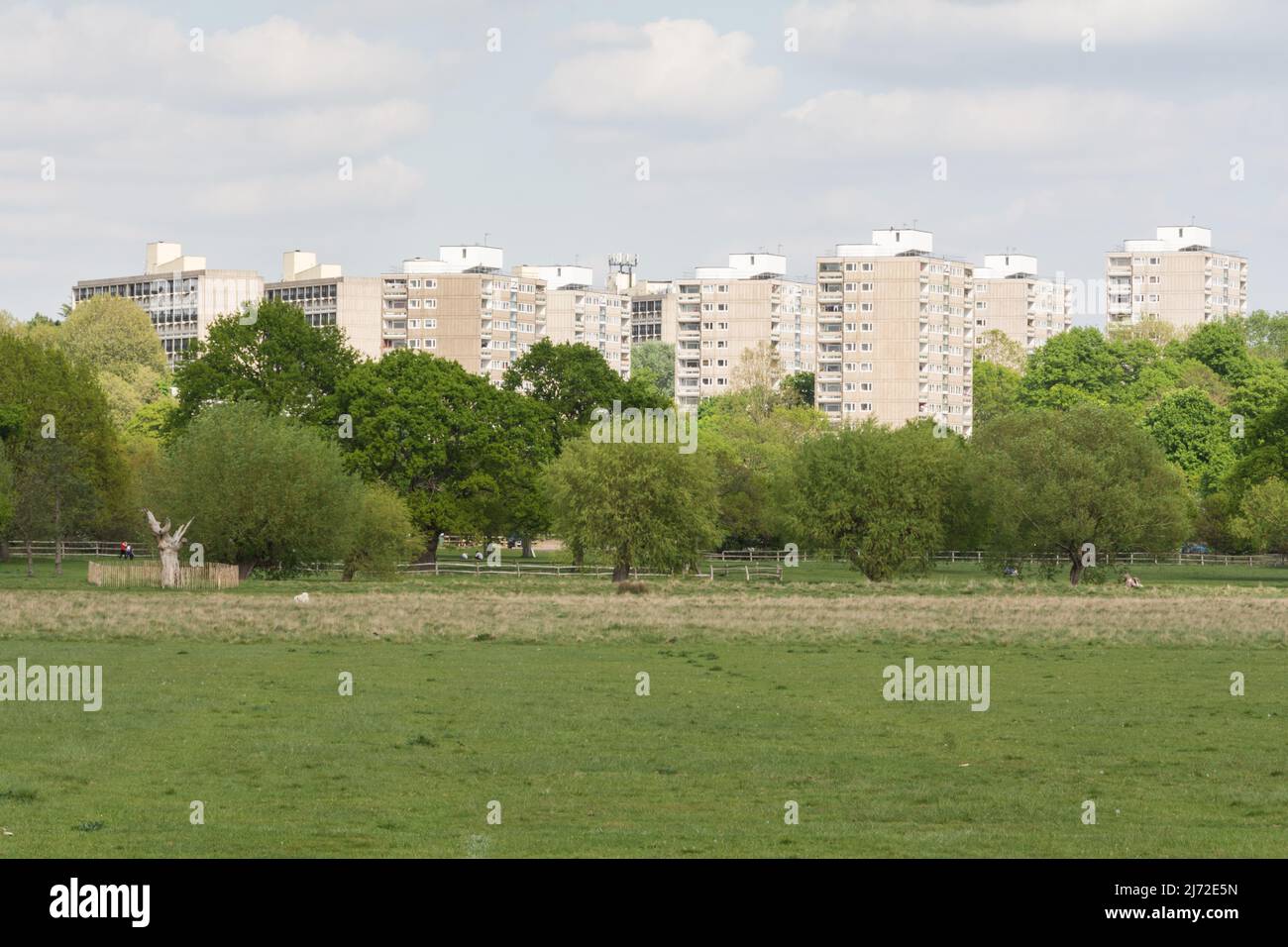 The Alton Estate in Roehampton as seen from Richmond Park, London