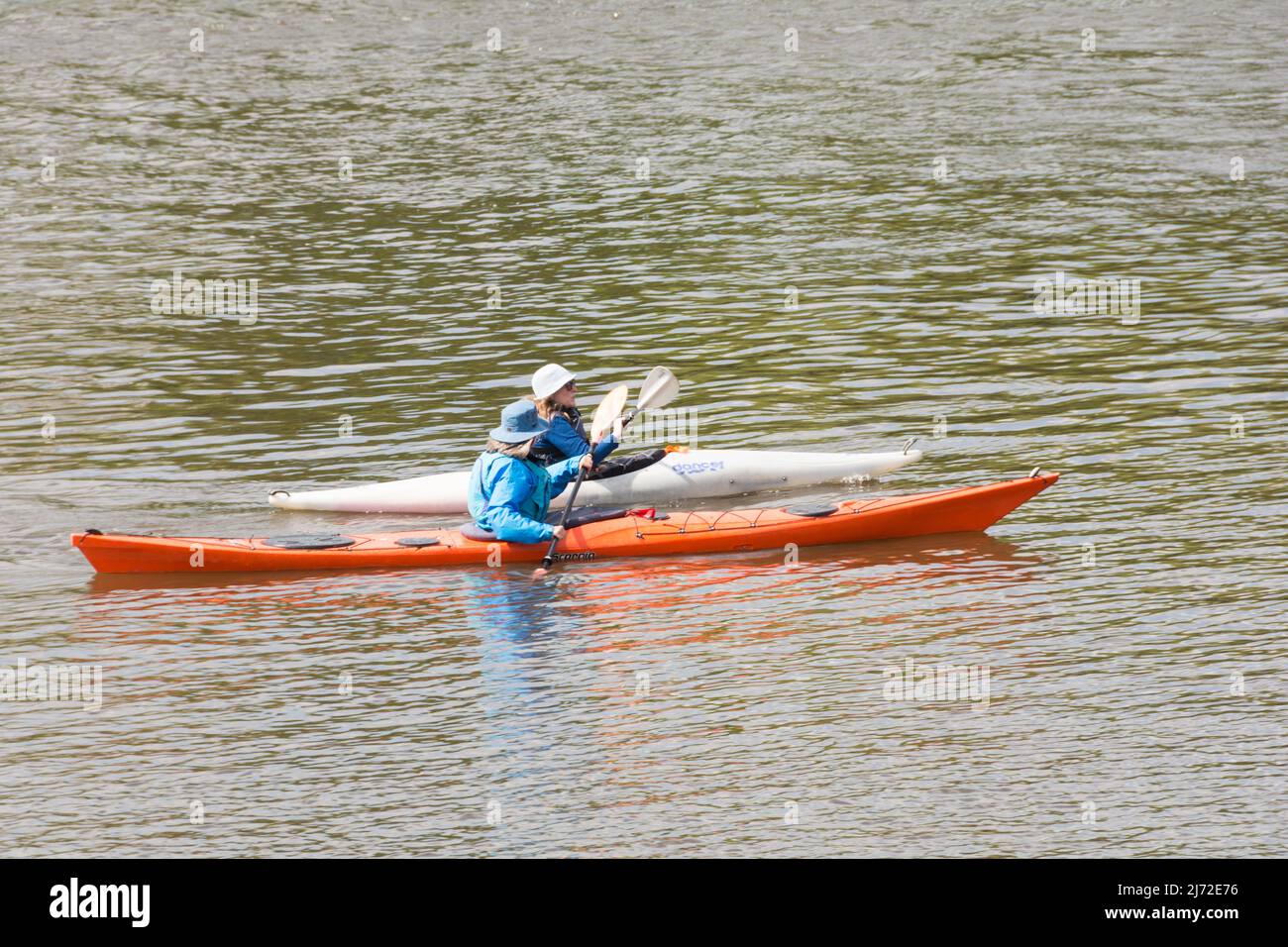 Two middle-aged women paddling kayaks on the River Thames in Barnes, southwest London, SW13, England, UK Stock Photo