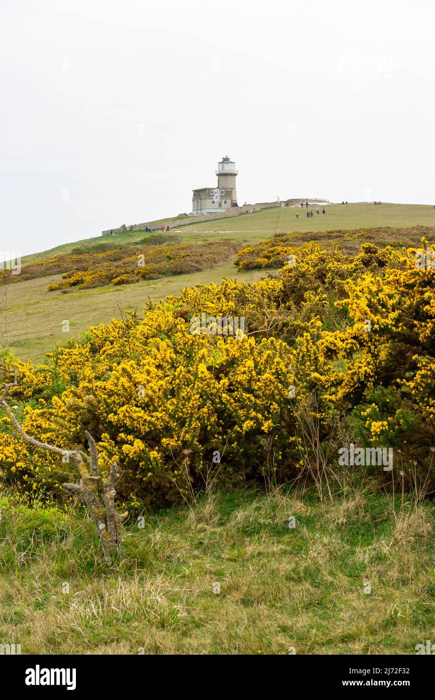 Belle Tout Lighthouse, Eastbourne, East Sussex, England Stock Photo