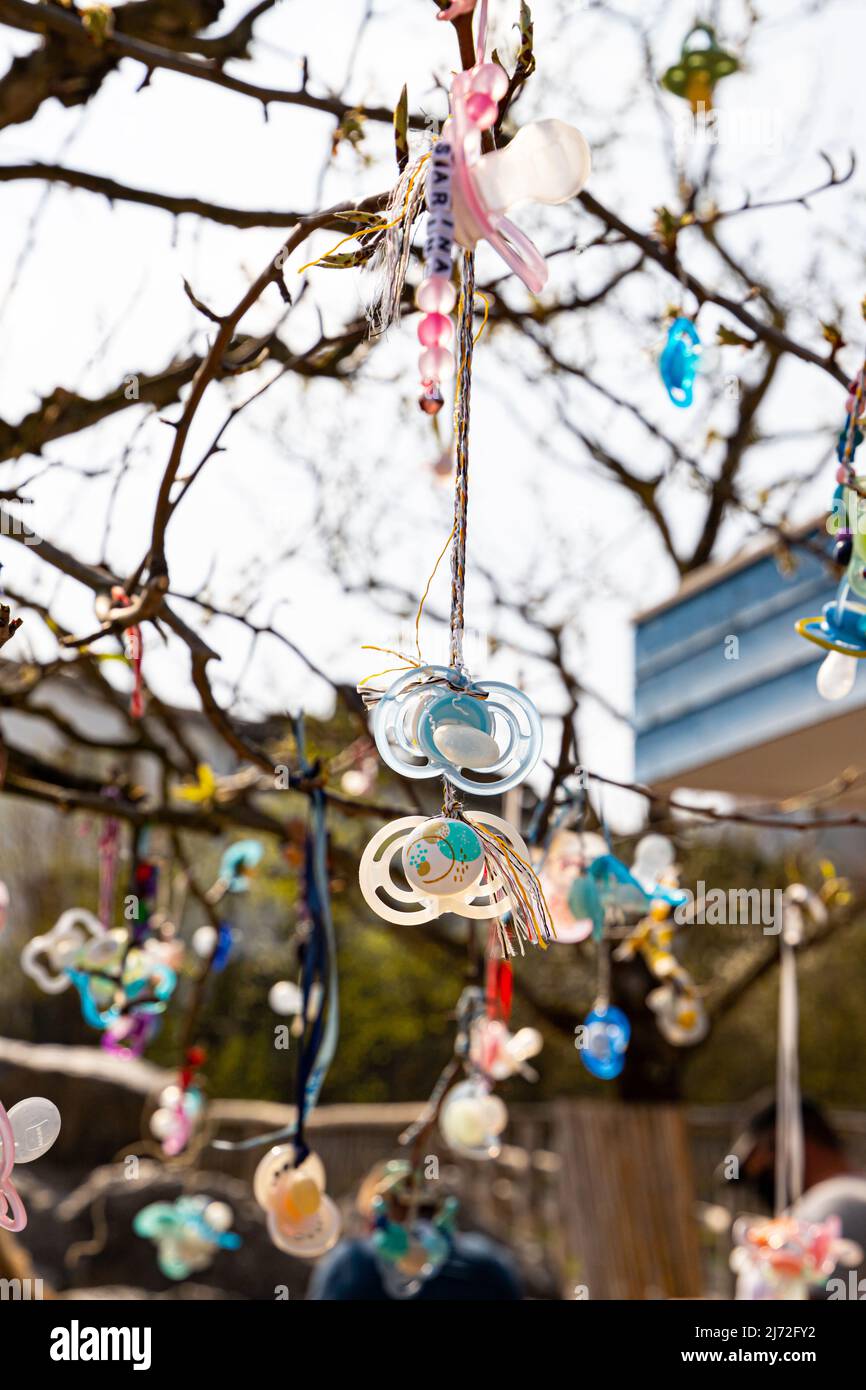 Tree of pacifiers at Zoo Zurich Stock Photo