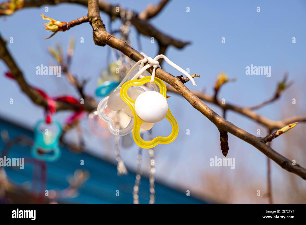 Tree of pacifiers at Zoo Zurich Stock Photo - Alamy