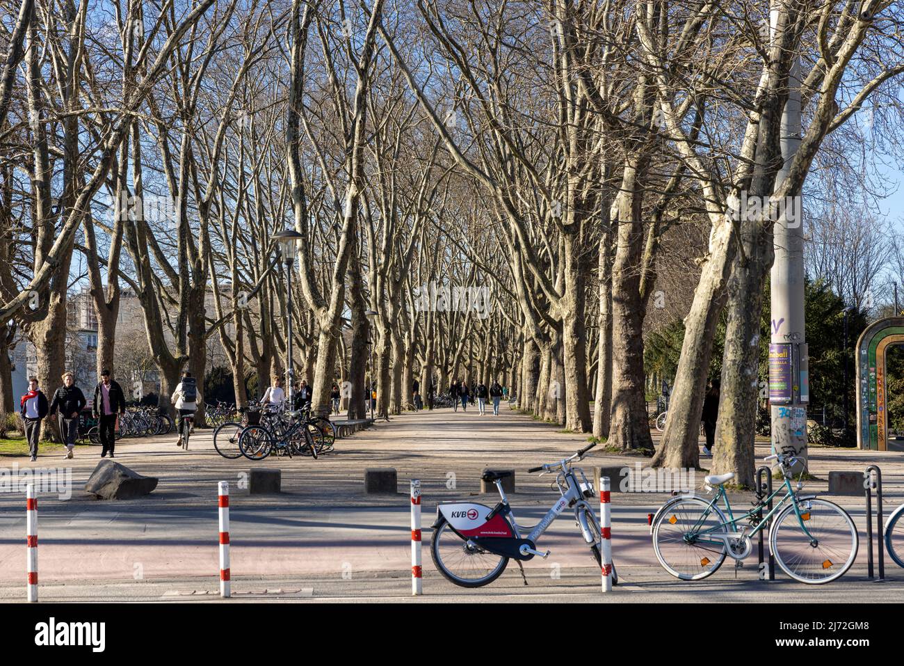 People spending time in Green Belt in Cologne on a bright spring day Stock Photo