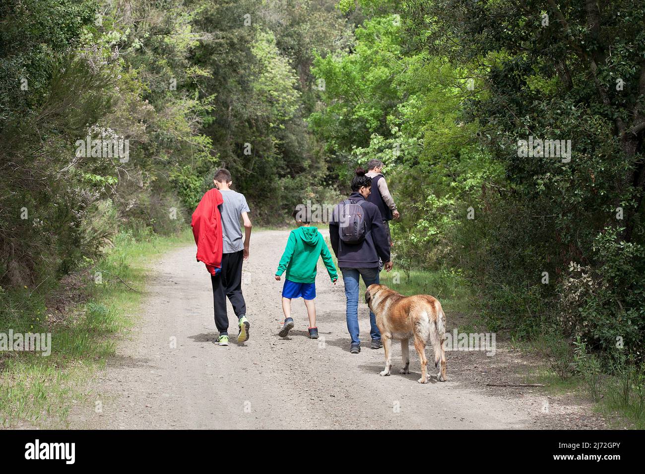 Family of four and their dog walking in the Tarragona countryside Stock