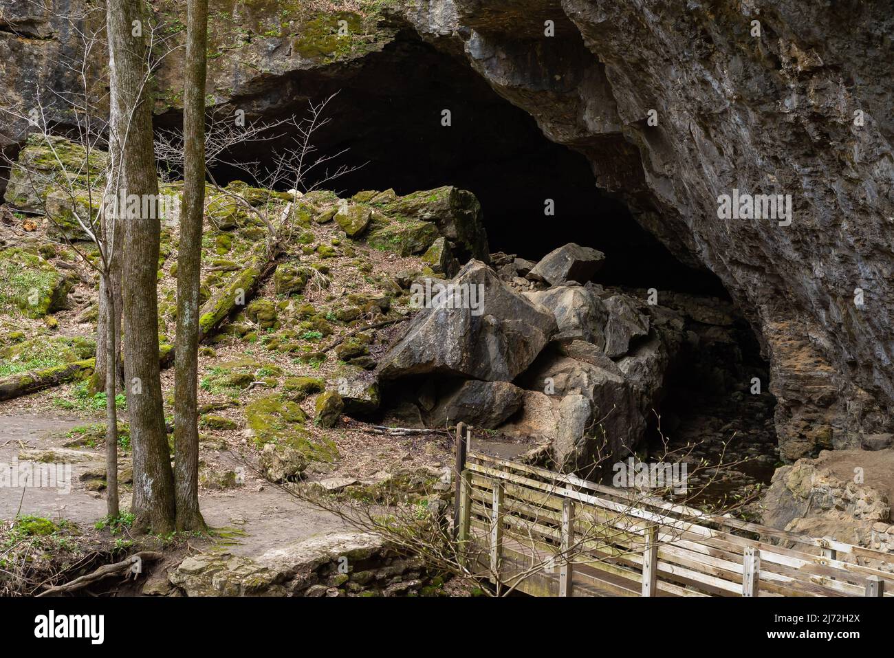 Landscape at Maquoketa Caves State Park on a cloudy Spring morning. Stock Photo