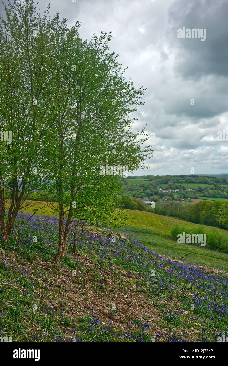 Photographs of the villlage of Luppitt and surrounding area in East Devon UK Stock Photo