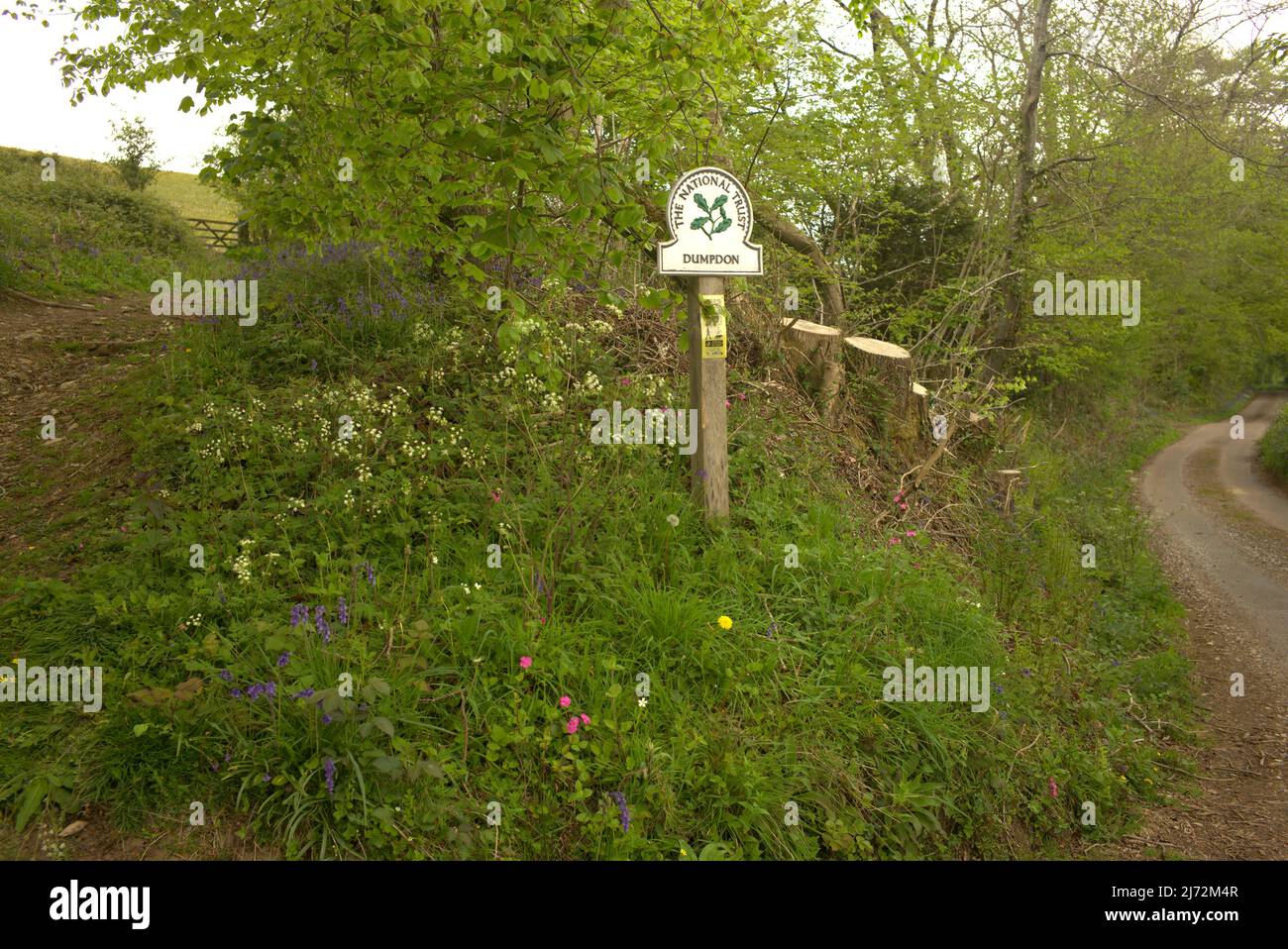 Photographs of the villlage of Luppitt and surrounding area in East Devon UK Stock Photo