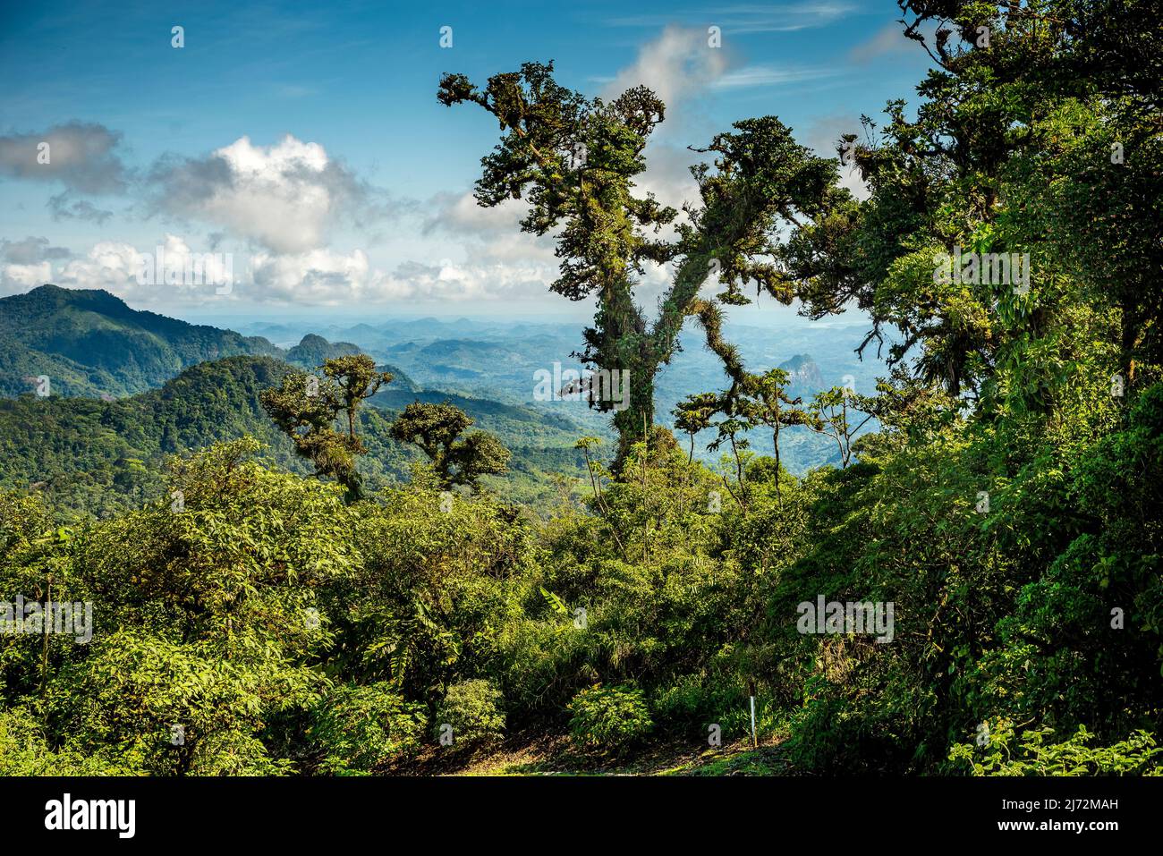 Cloud forest scene panorama view from the mountains of Altos del Maria,  Panama Stock Photo