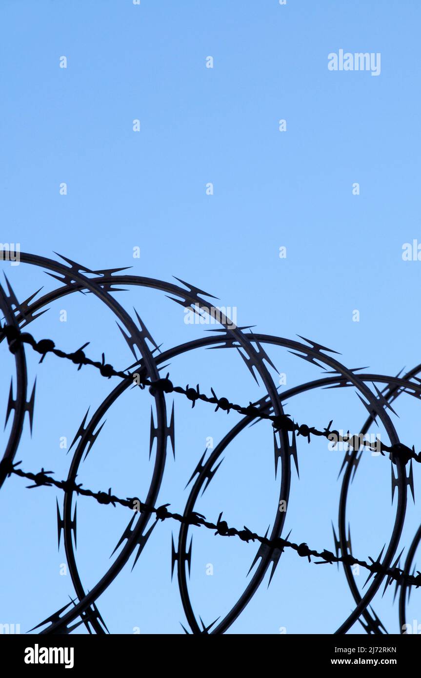 Razor wire and barbed wire Stock Photo Alamy