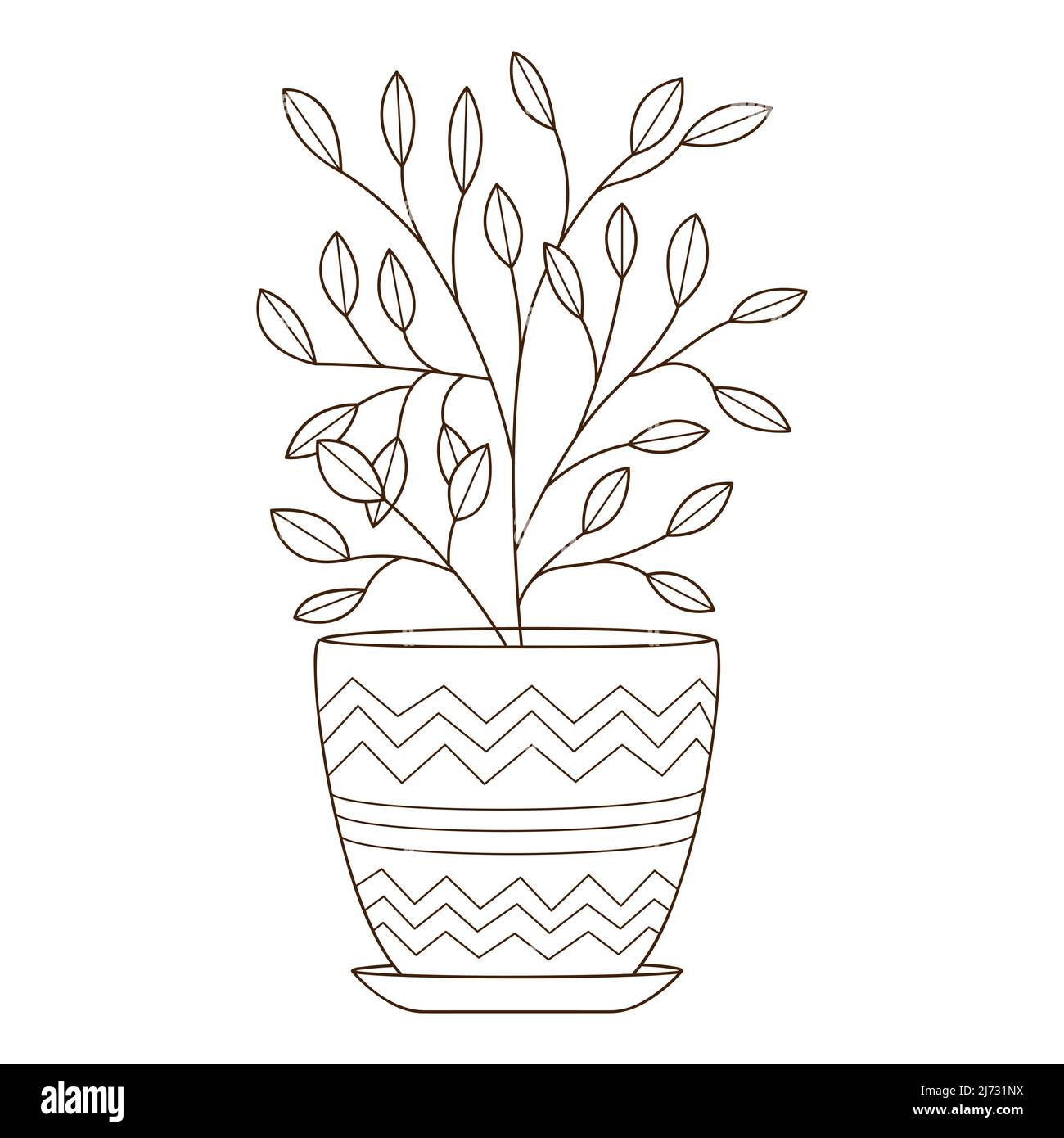 Ficus plant pot Cut Out Stock Images \u0026 Pictures - Page 2 - Alamy, image size:1300x1390