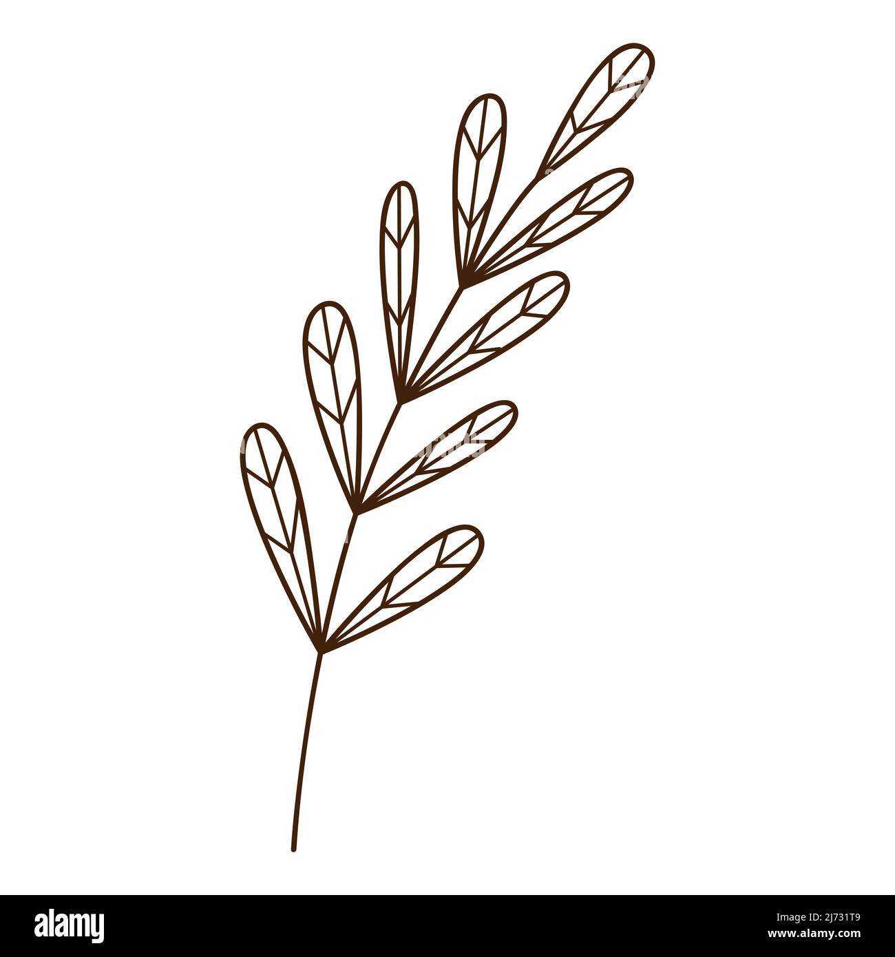 Abstract twig with leaves. A blade of grass. Autumn time. Botanical, plant design element with outline. Doodle, hand-drawn. Flat design. Black white v Stock Vector