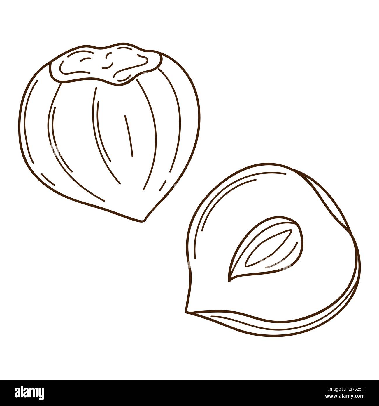 Empty Hazelnut Chariot Drawing