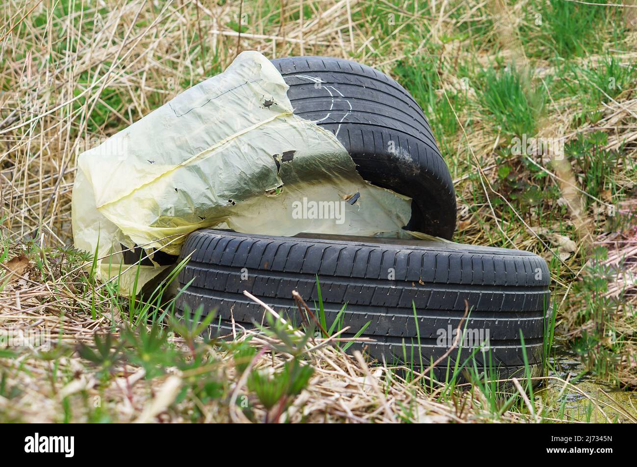 Car tires in the woods. Industrial pollution of the environment