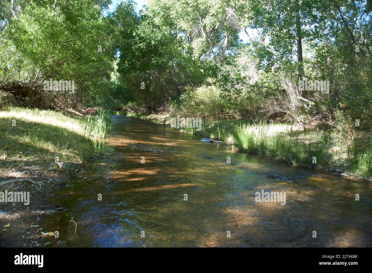 Stream running through land in Winkleman, Arizona, USA Stock Photo Alamy