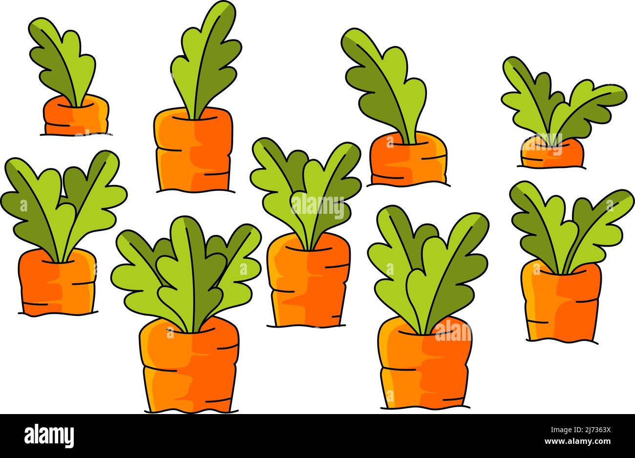 Carrot Field Cartoon Colored Clipart Illustration Stock Vector Image