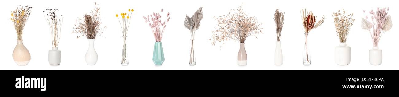 Set of dried flowers in vases on white background Stock Photo - Alamy