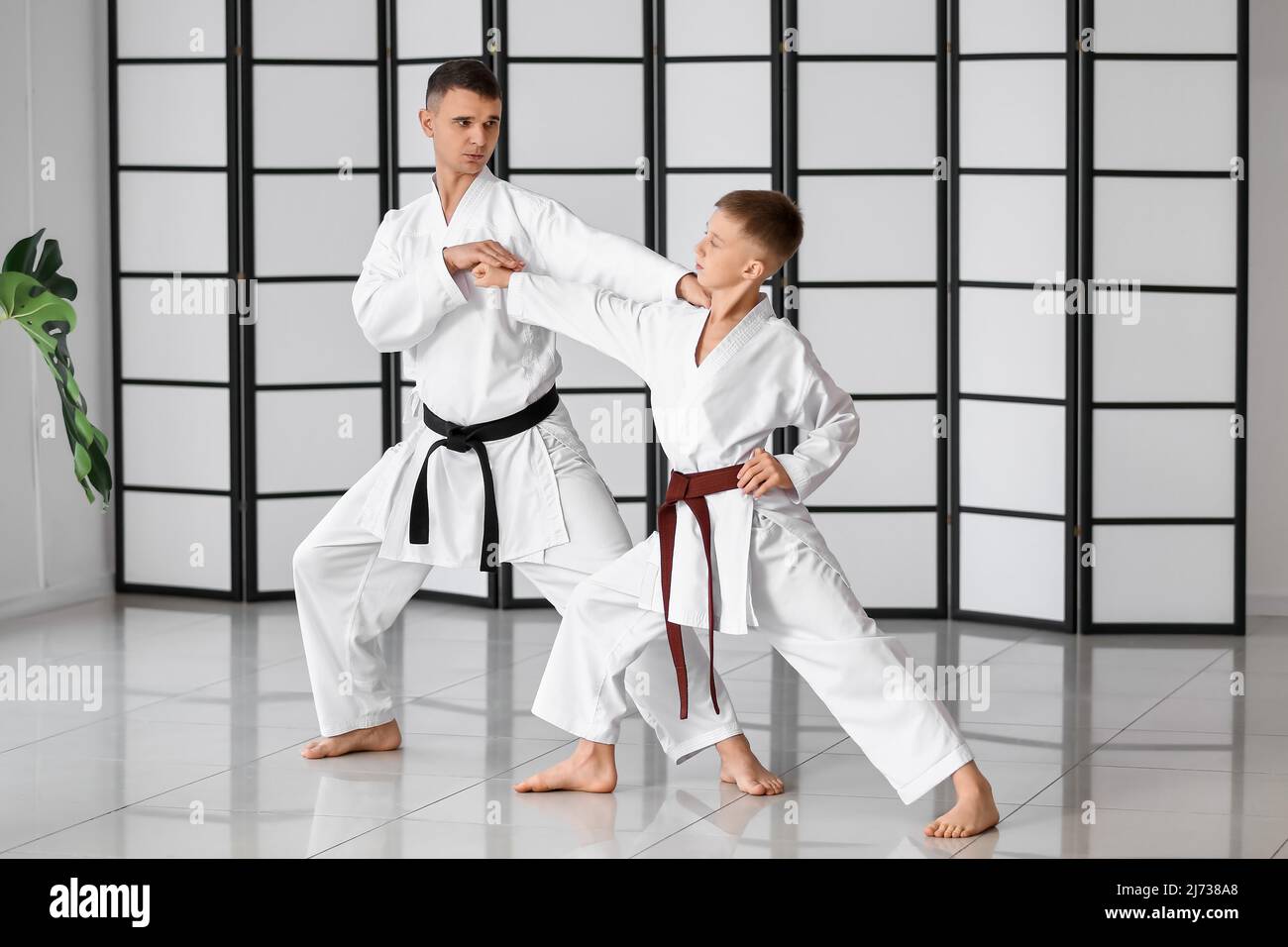 Boy practicing karate with instructor in dojo Stock Photo - Alamy