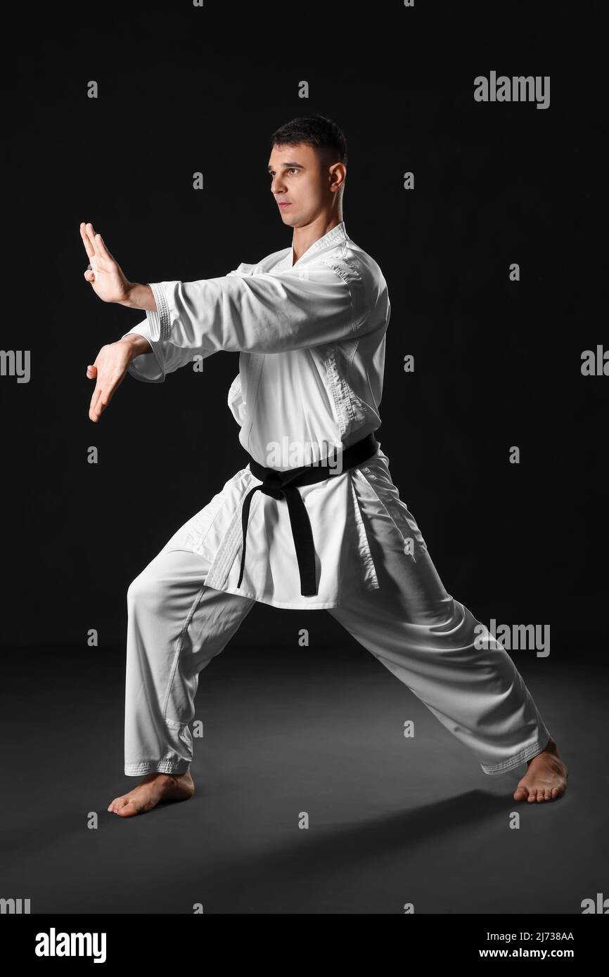 Karate kaikan hi-res stock photography and images - Alamy