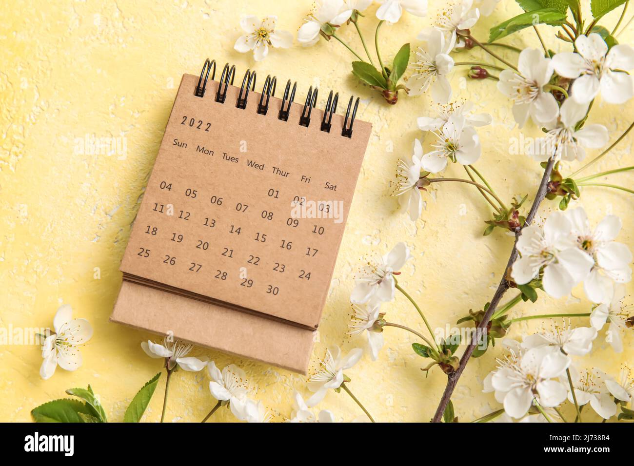 Blooming spring branches and calendar on yellow background Stock Photo ...