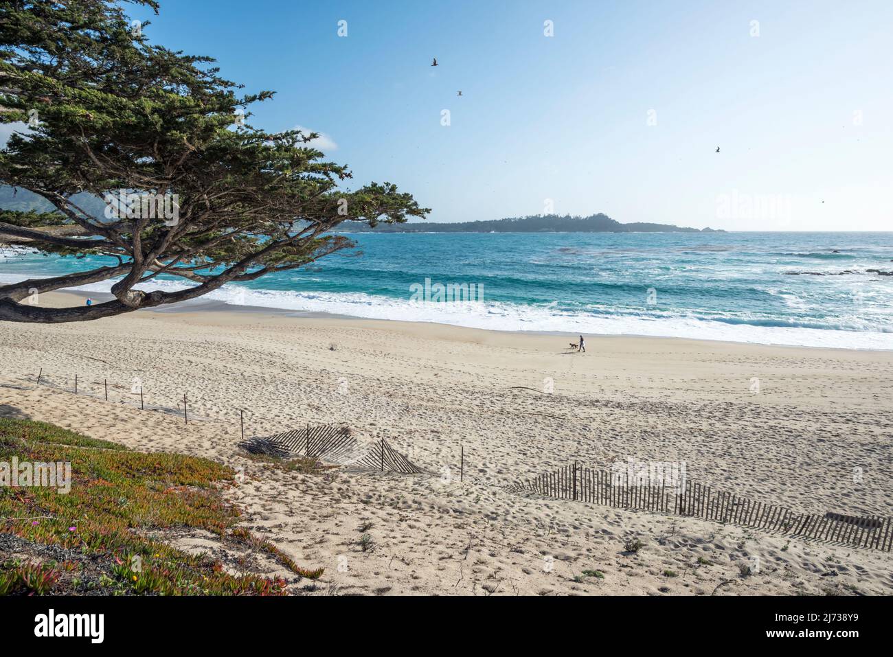Carmel river hires stock photography and images Alamy
