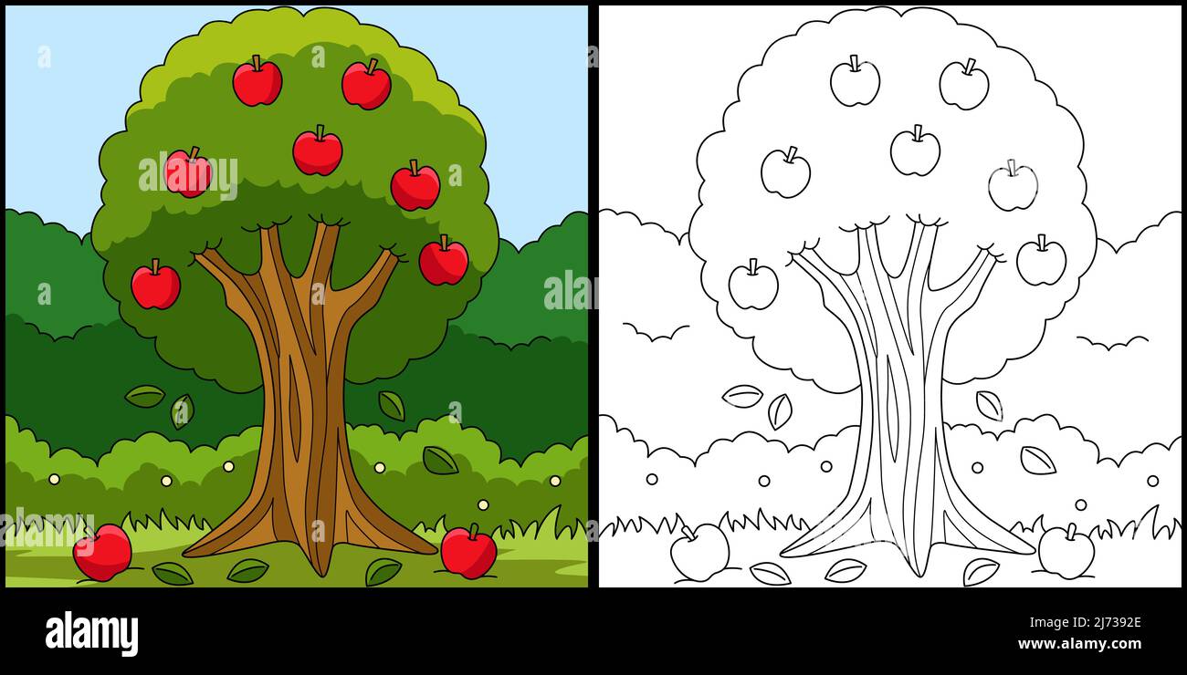 Apple Tree Coloring Page Colored Illustration Stock Vector