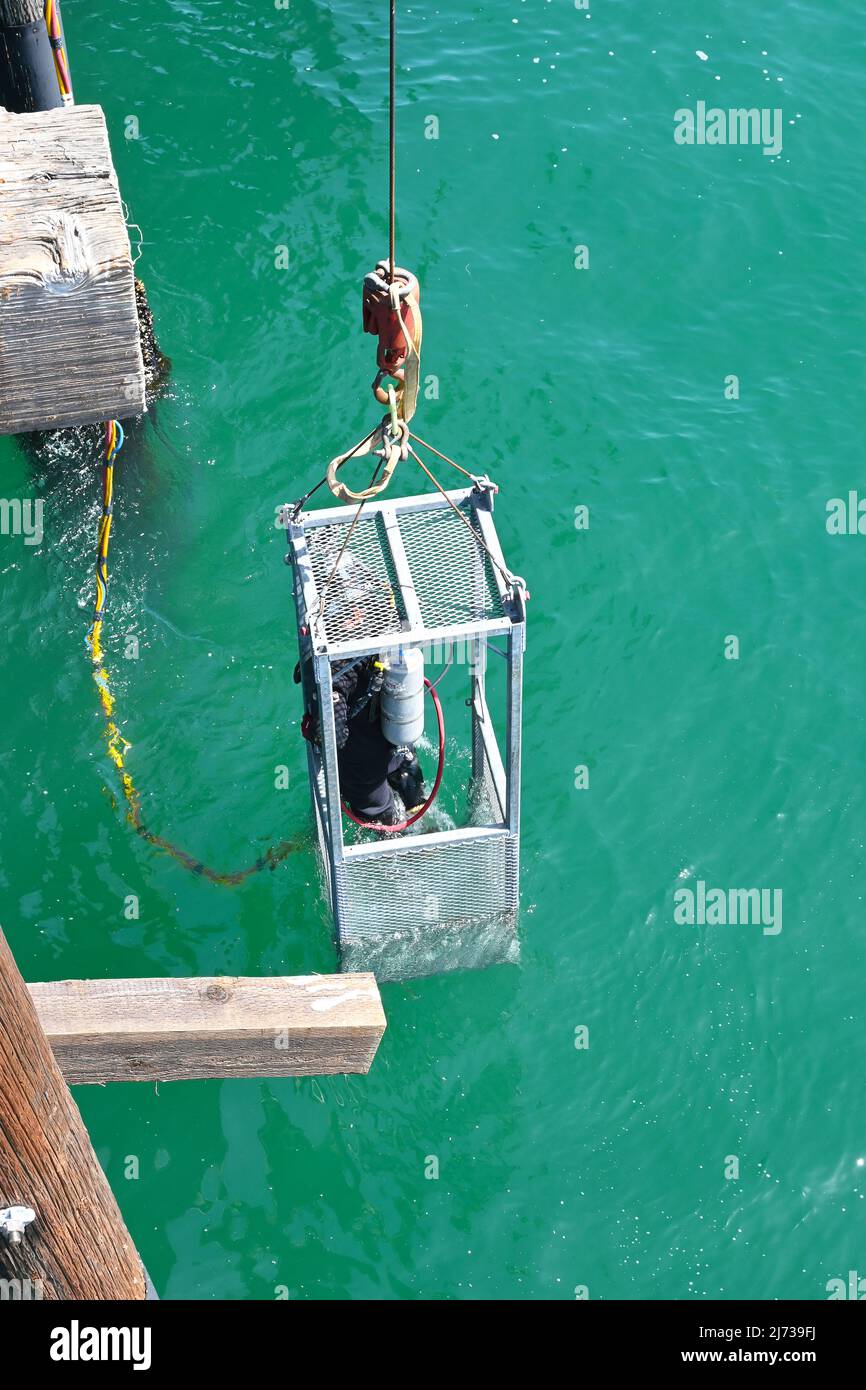 NEWPORT BEACH, CALIFORNIA - 4 MAY 2022: Diver being lowered into the water to make repairs on the pier pylons. Stock Photo