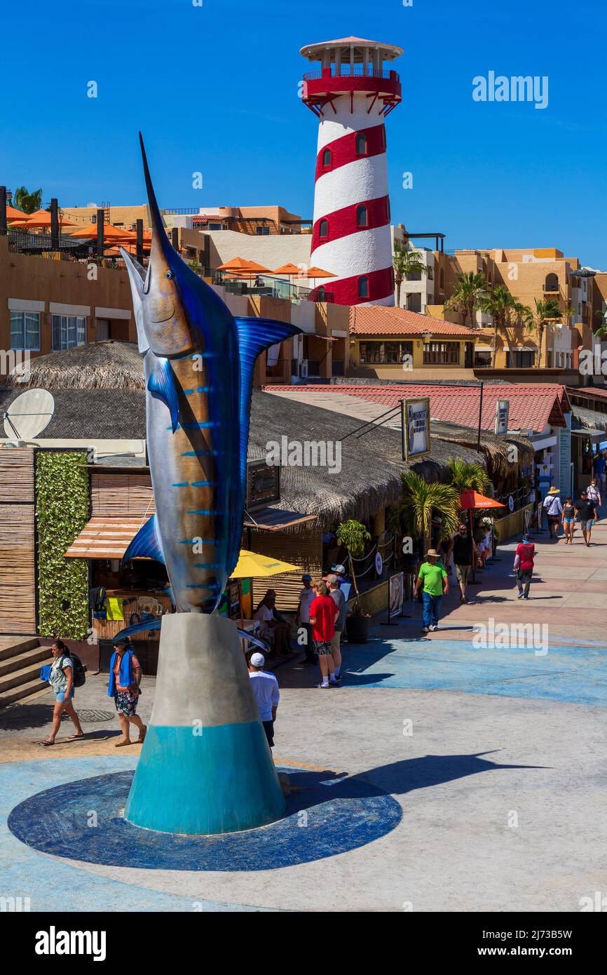 Cabo San Lucas Marina, Baja California, Mexico Stock Photo - Alamy