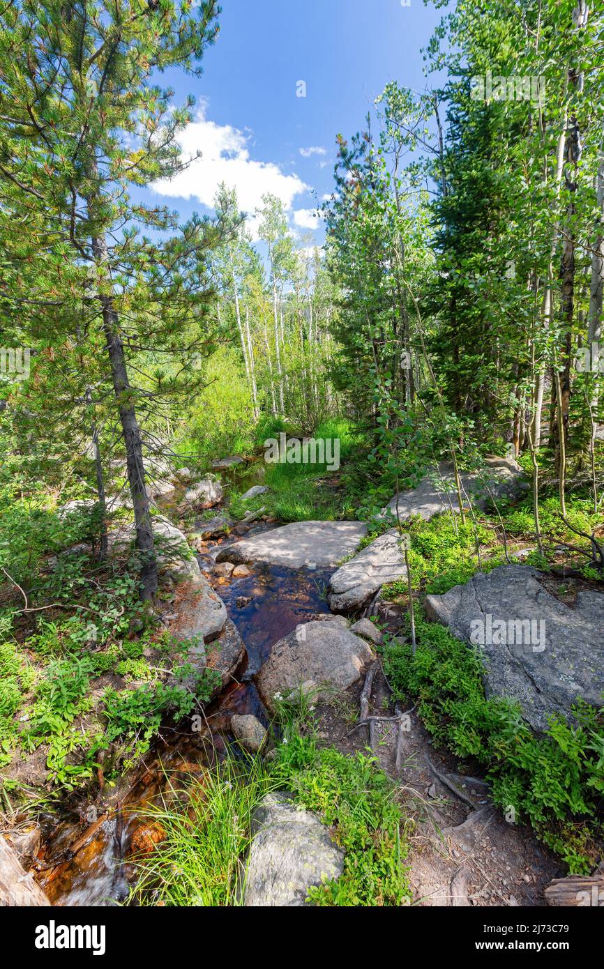 Sunny view of the beautiful landscape around Alberta Falls at Rocky ...