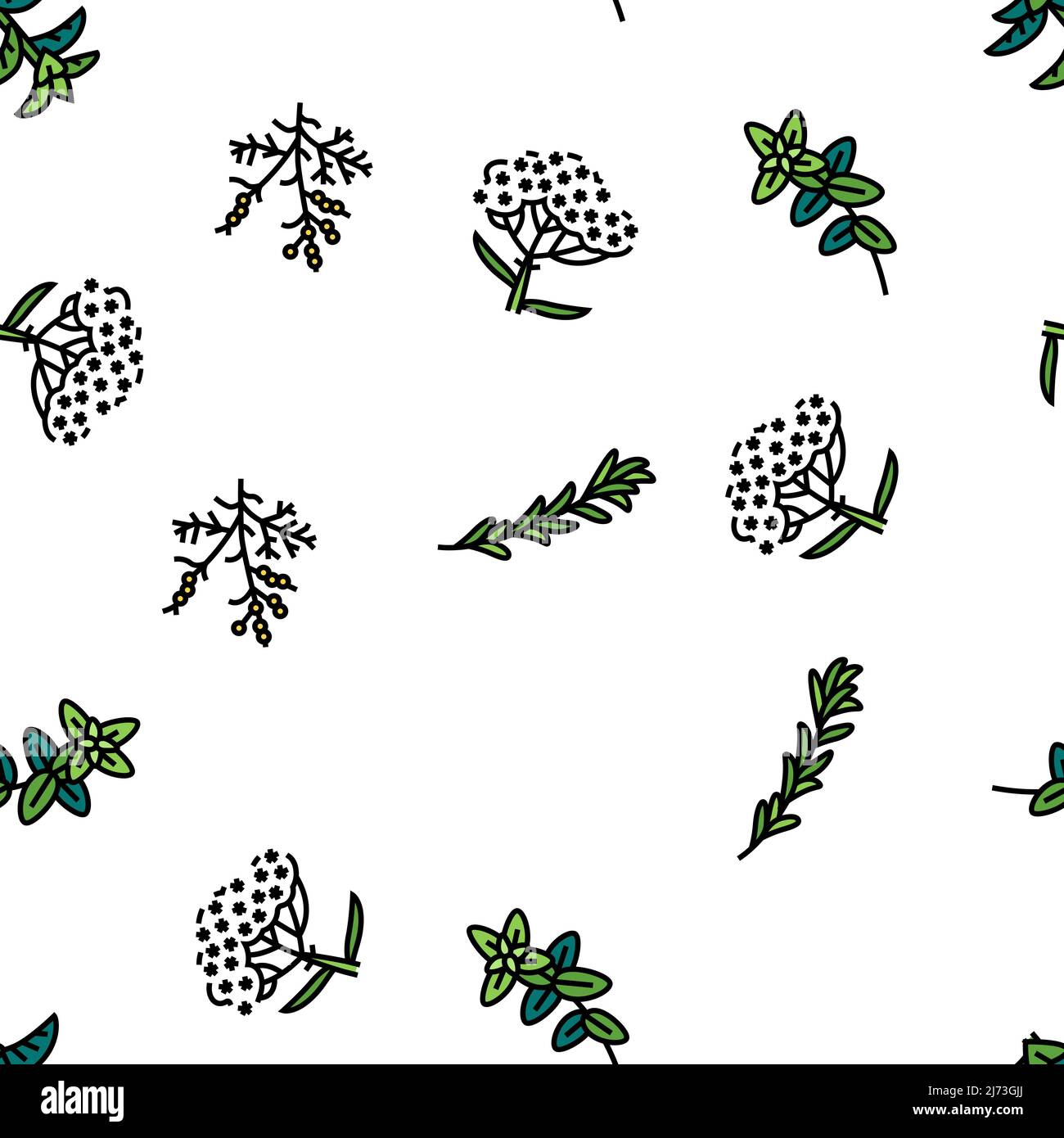 Medical Herb Natural Ingredient Vector Seamless Pattern Stock Vector ...