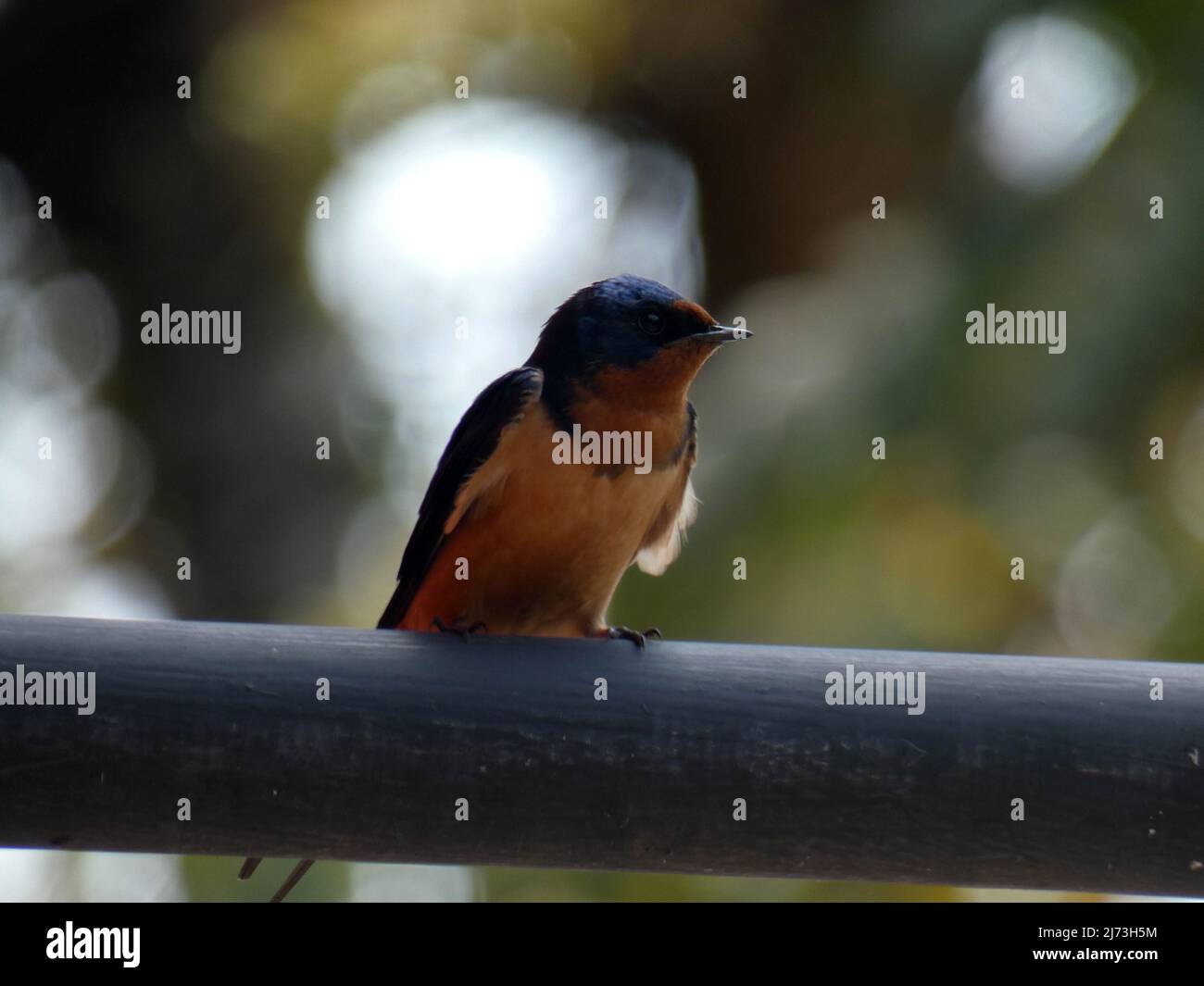 Malinalco, Mexico State, Mexico Stock Photo Alamy