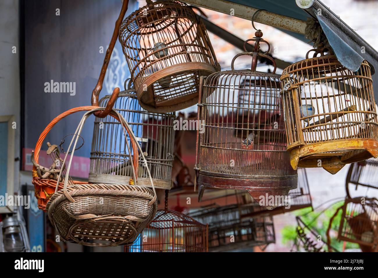 Traditional bamboo woven bird cages for sale in the market Stock Photo