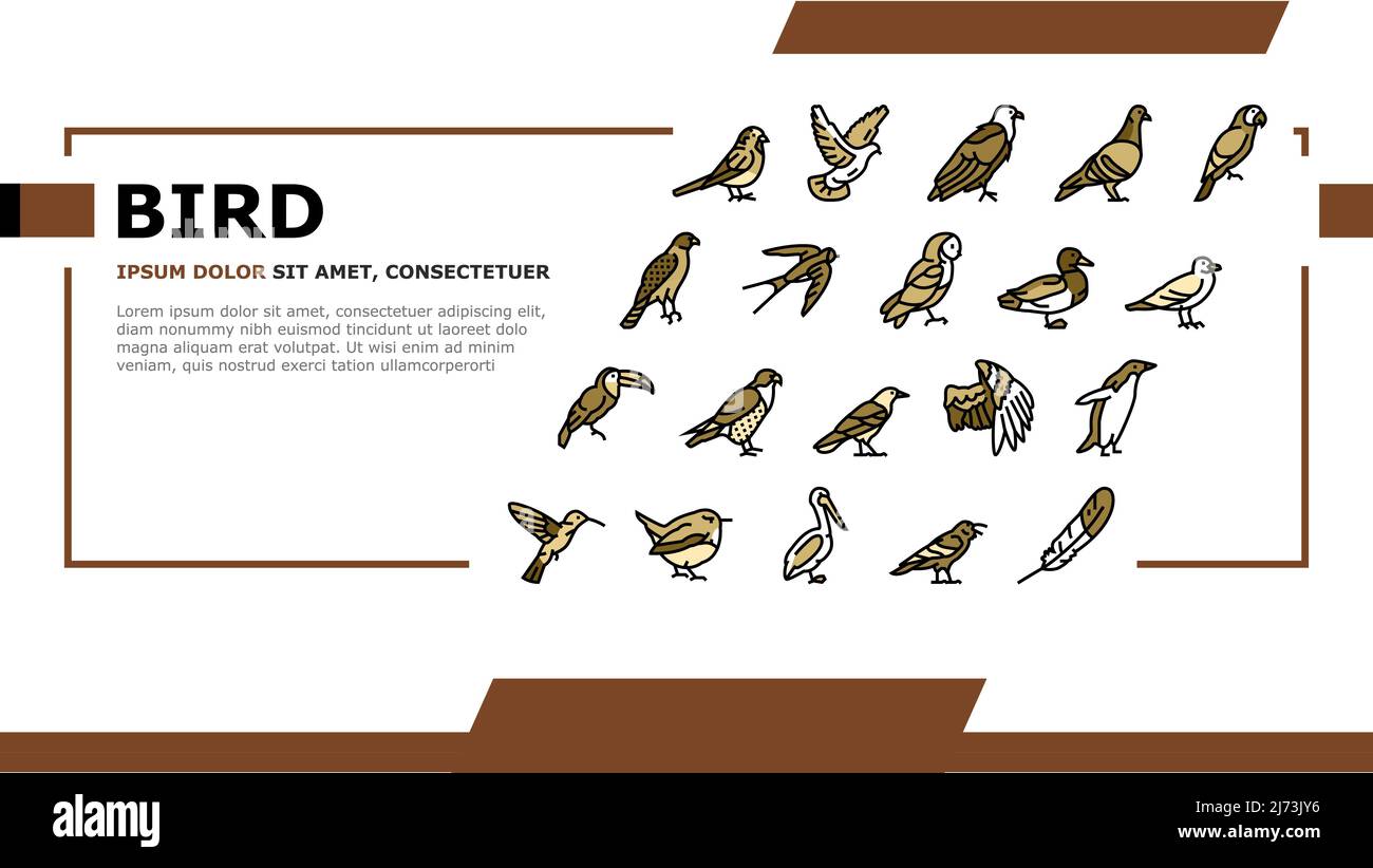 Bird Flying Animal With Feather Landing Header Vector Stock Vector ...