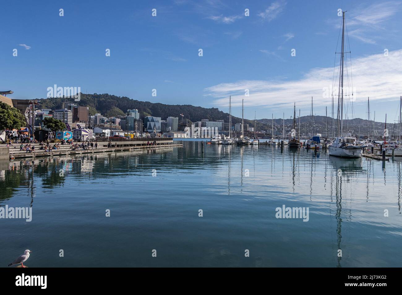 Wellington waterfront after COVID restrictions were reduced Stock Photo