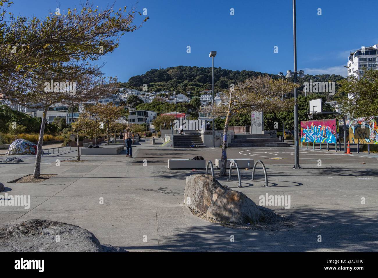 Wellington Waterfront Skateboard Park Activity Stock Photo