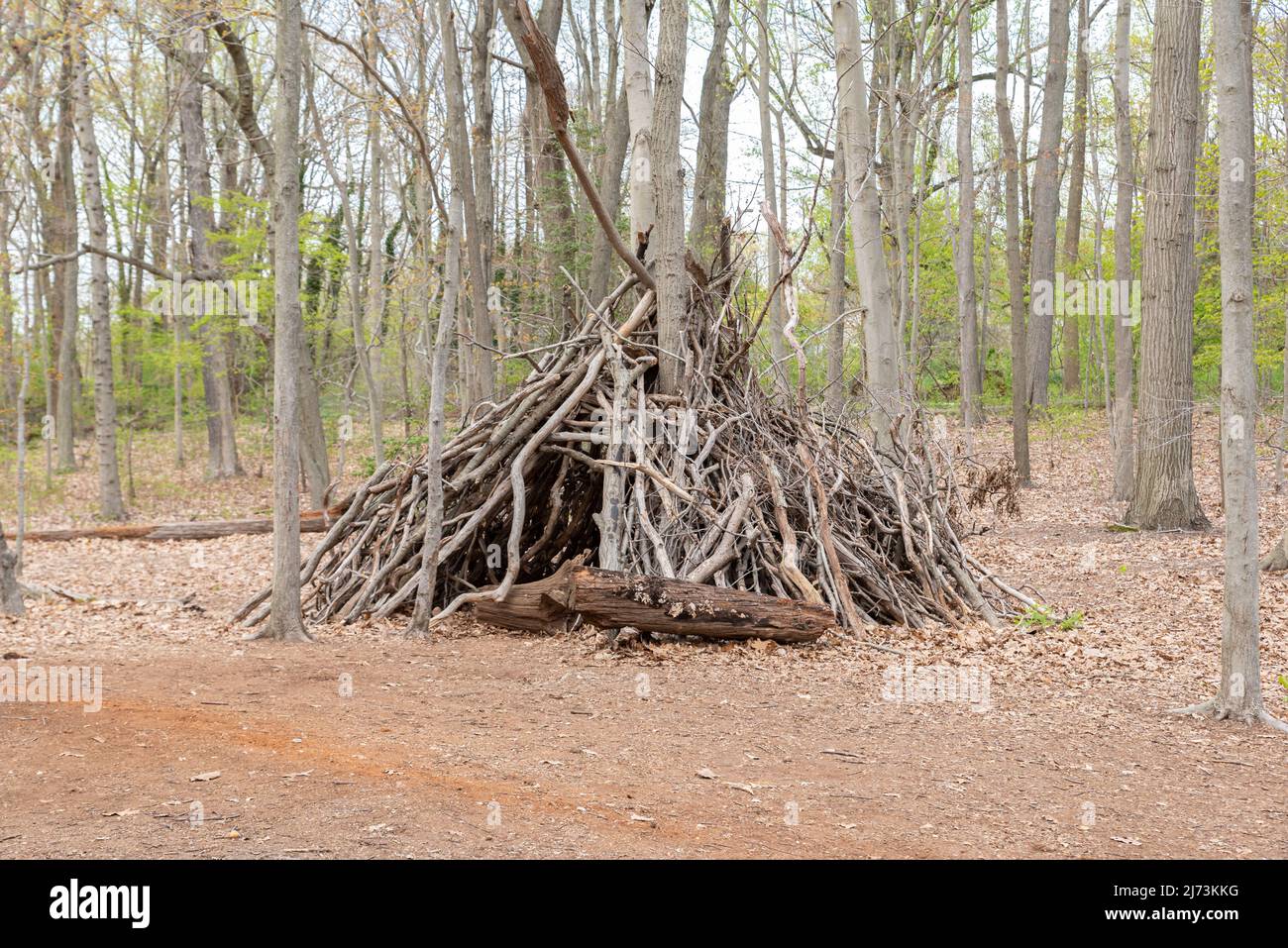 shelter as with tree branches