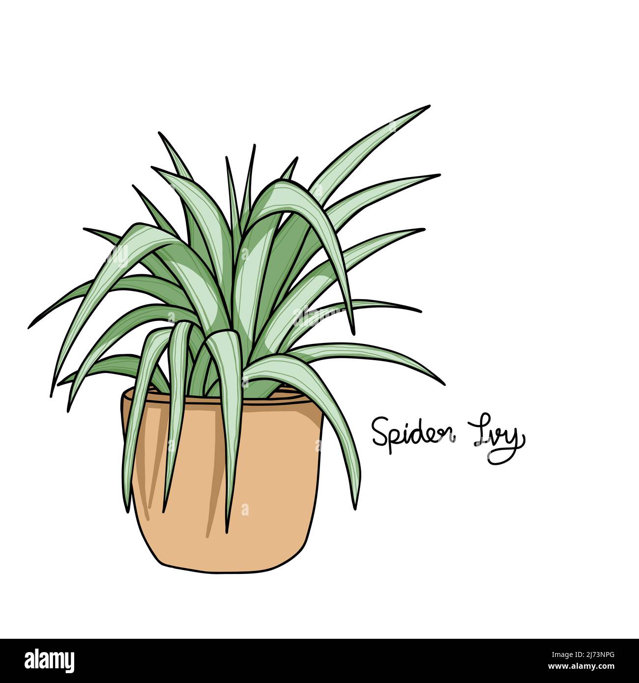 big black plant pots Planter - Modern Conical - Black main image 0