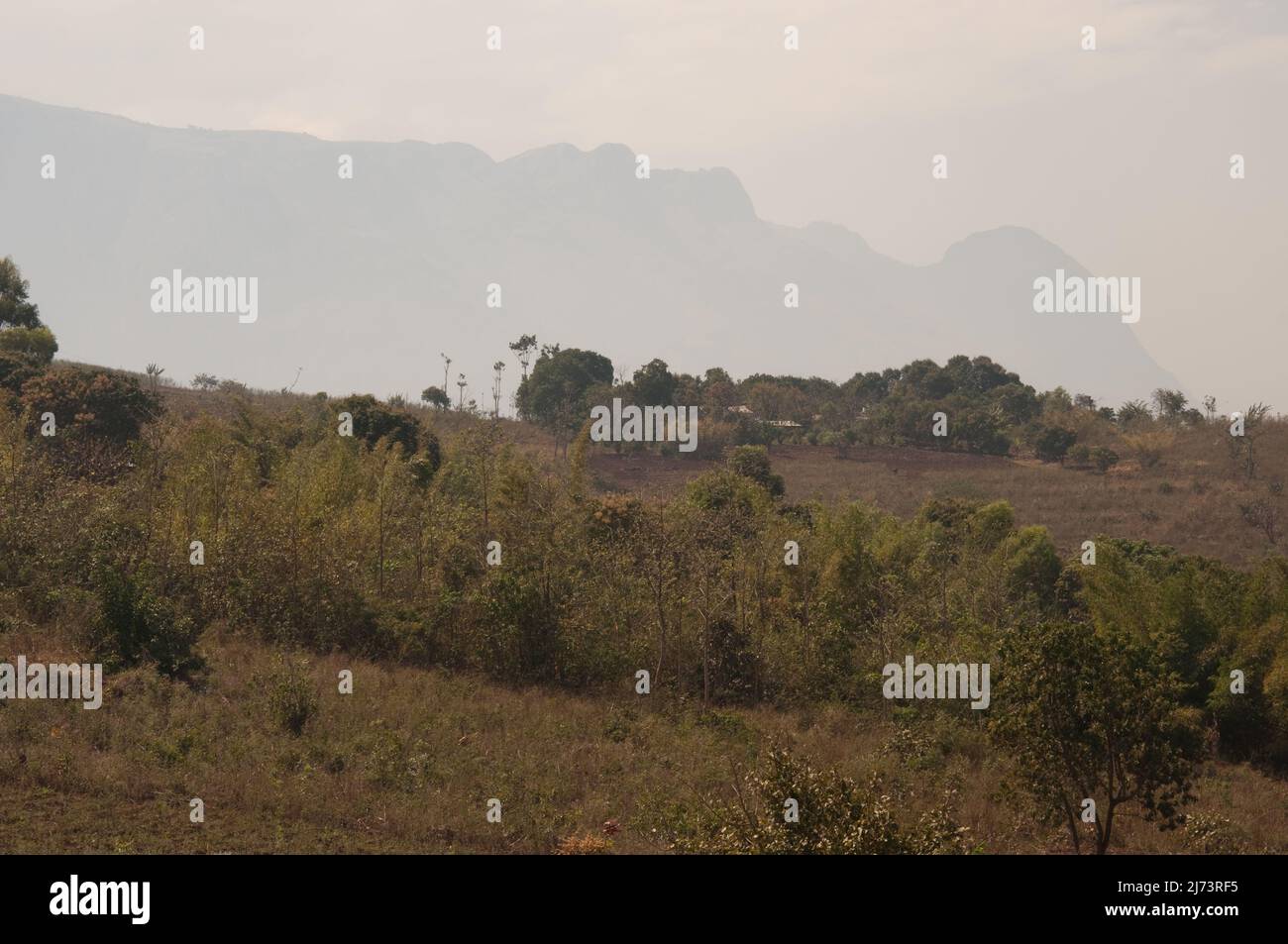 African scrub and Mt Mulanje, Mulanje District, Malawi, Africa - with