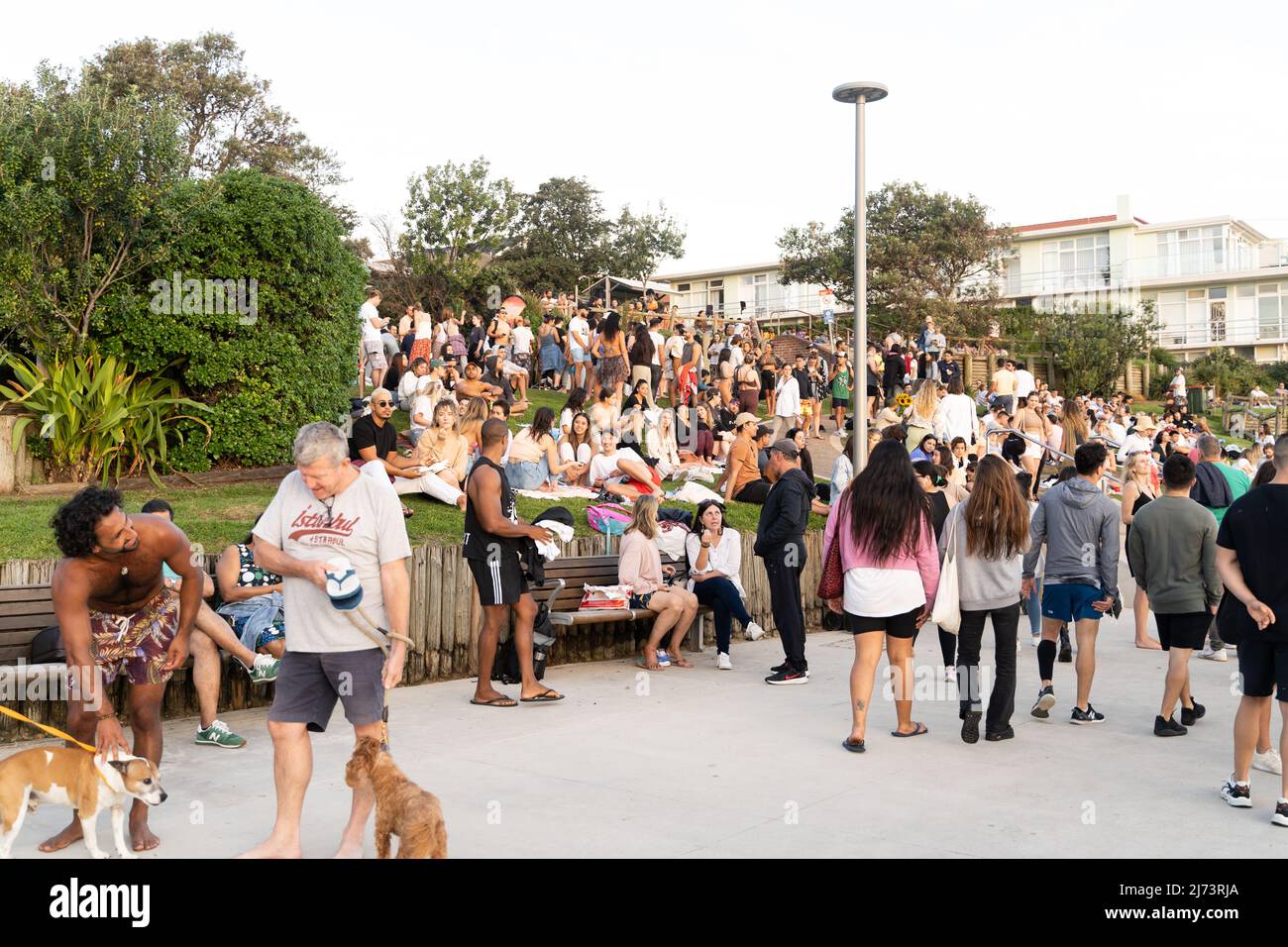 Crowd of young people at the beach Stock Photo