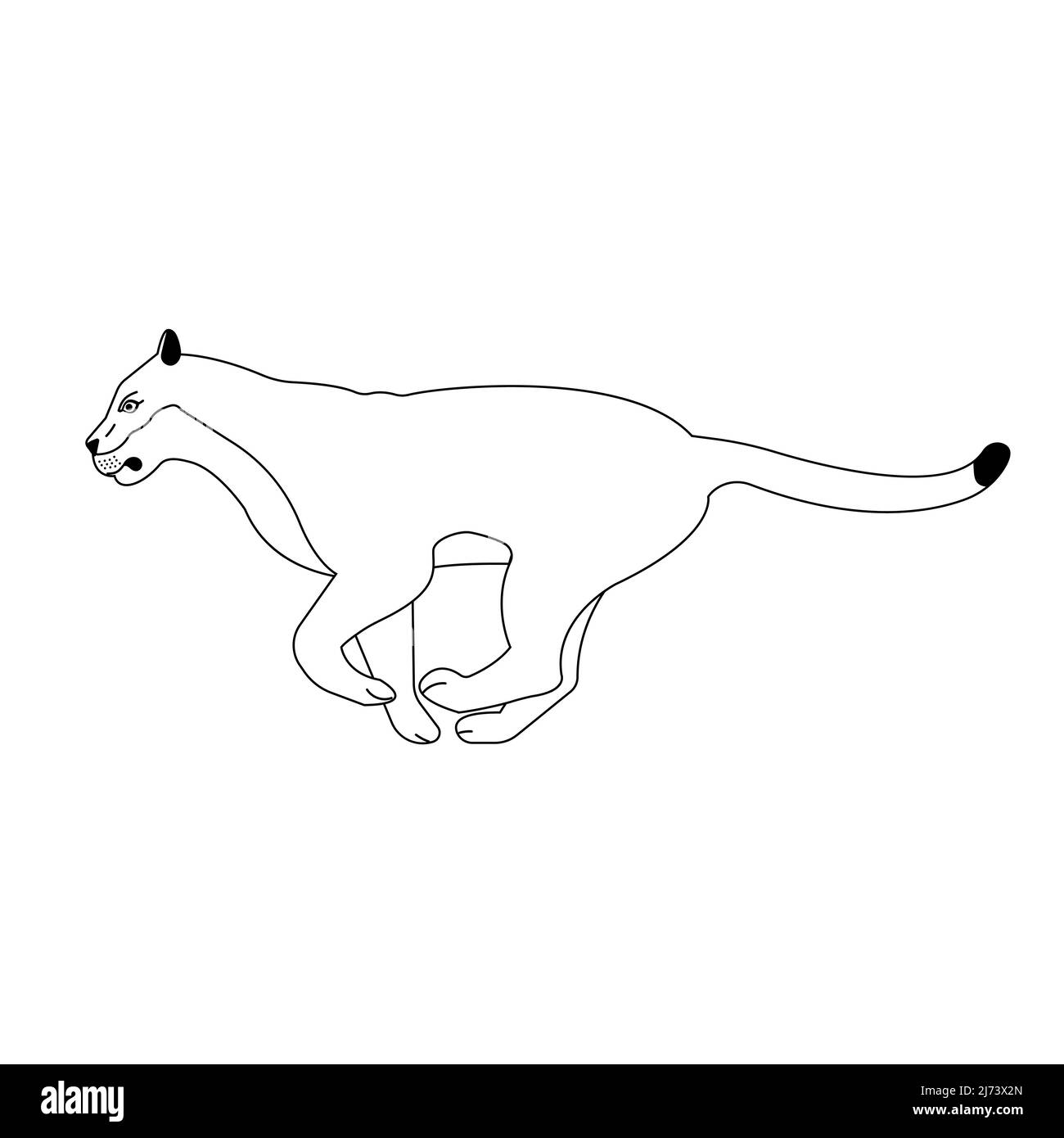 Vector flat running lioness isolated on white background Stock Vector ...