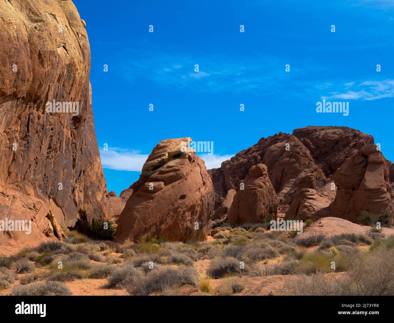 Panorama view of the famous Valley of fire state park. Red sandstone