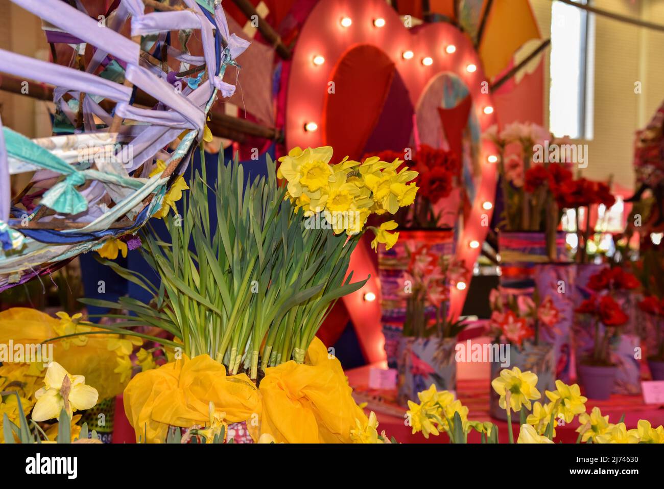 Lisse, Netherlands, April 2022. Colorful displays of tulips, daffodils