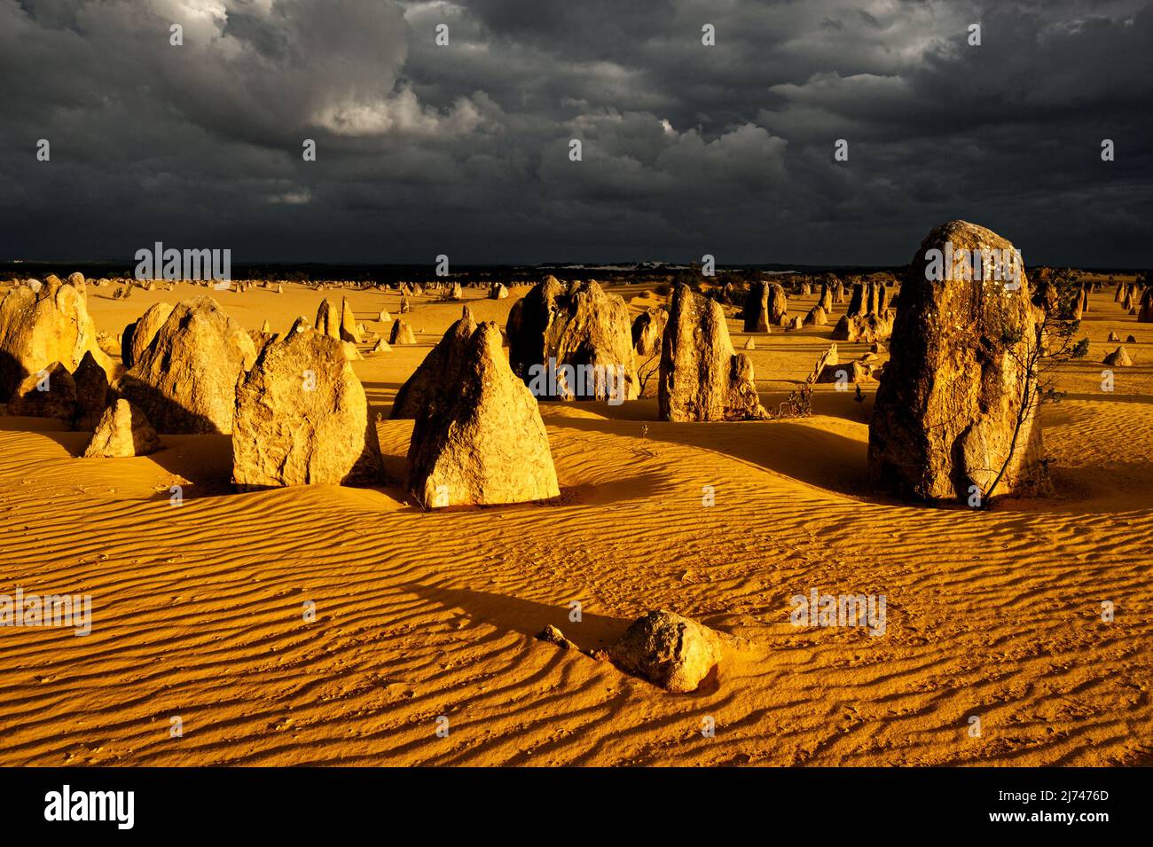 Famous rock formations of the Pinnacles in Nambung National Park. Stock Photo