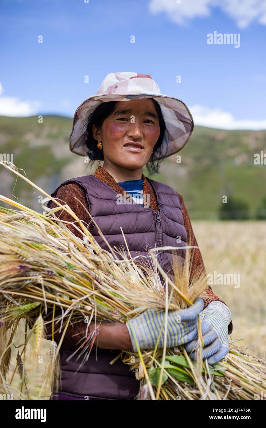 Lady farmer hi-res stock photography and images - Alamy