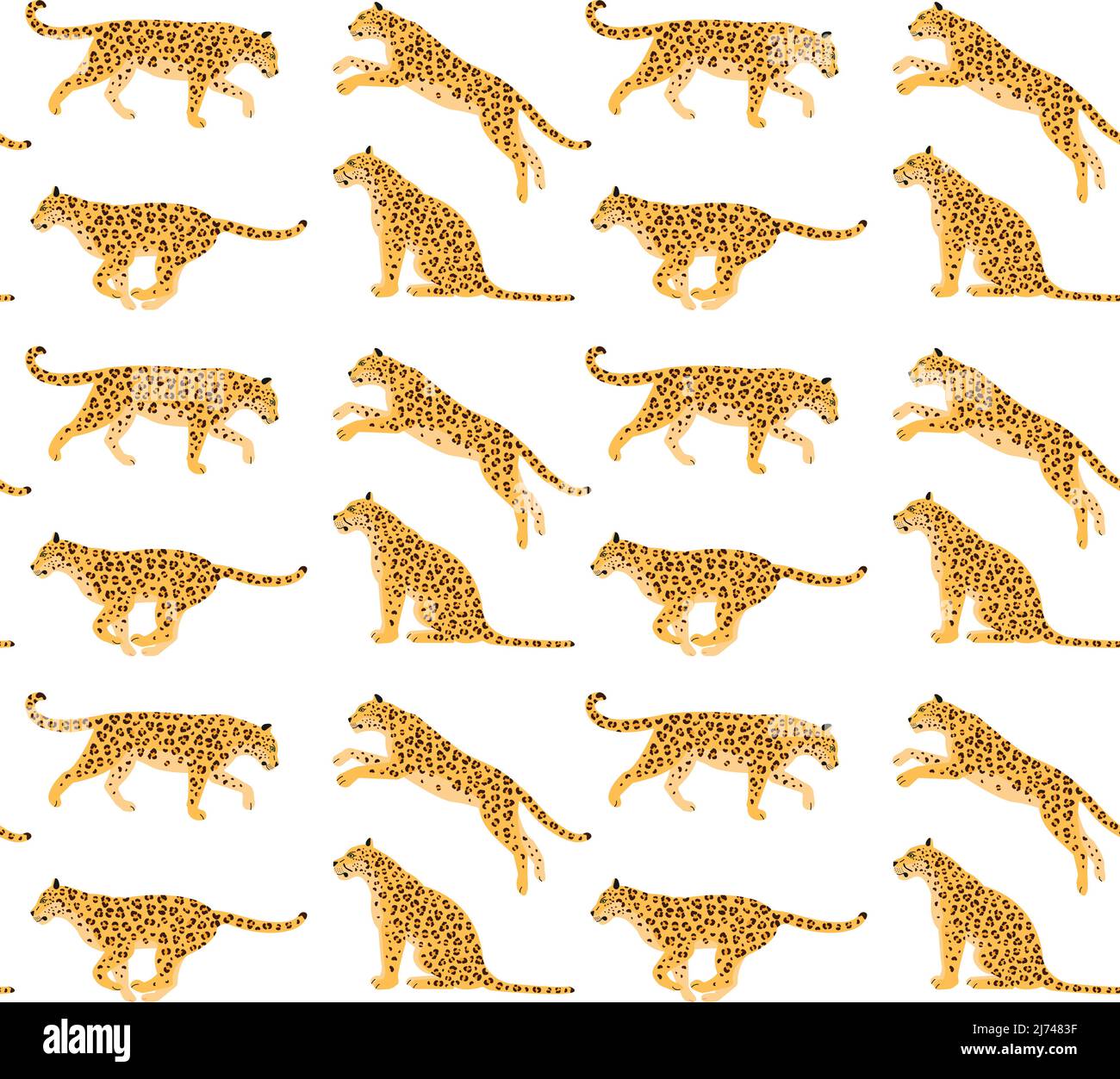 Vector seamless pattern of flat leopard isolated on white background ...